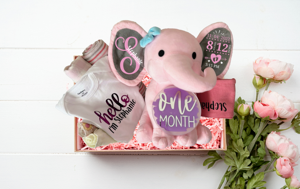 Newborn Welcome Gift Basket - Girl (A097)