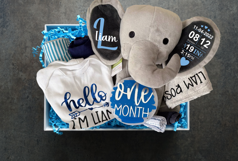 Newborn Welcome Gift Basket - Boy (A096)