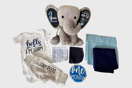 Newborn Welcome Gift Basket - Boy (A096)