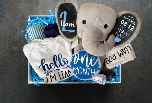 Newborn Welcome Gift Basket - Boy (A096)